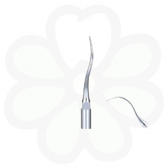 P21R-E - пародонтологическая насадка с правосторонним изгибом (для EMS)
